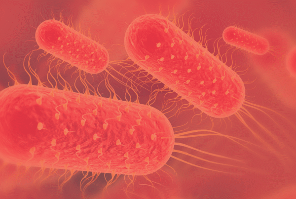 Typhoid bacteria background