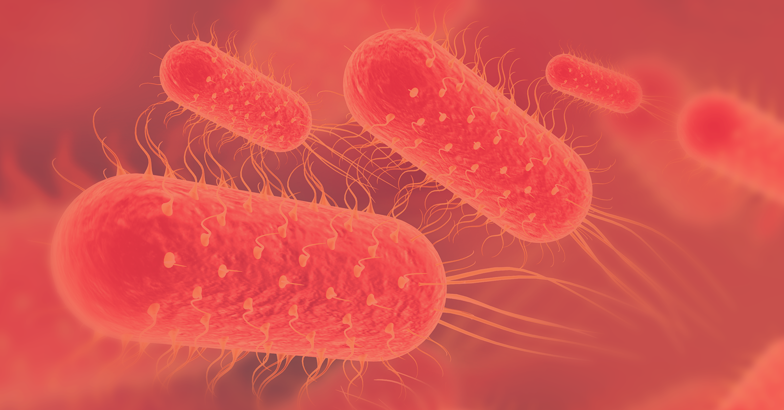 CHEMBIO RECEIVES $1.8 MILLION CARB-X GRANT TO DEVELOP A RAPID DIAGNOSTIC TEST FOR TYPHOID FEVER